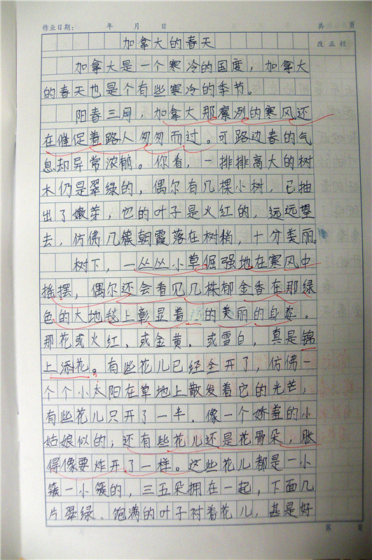 习作一 005.jpg